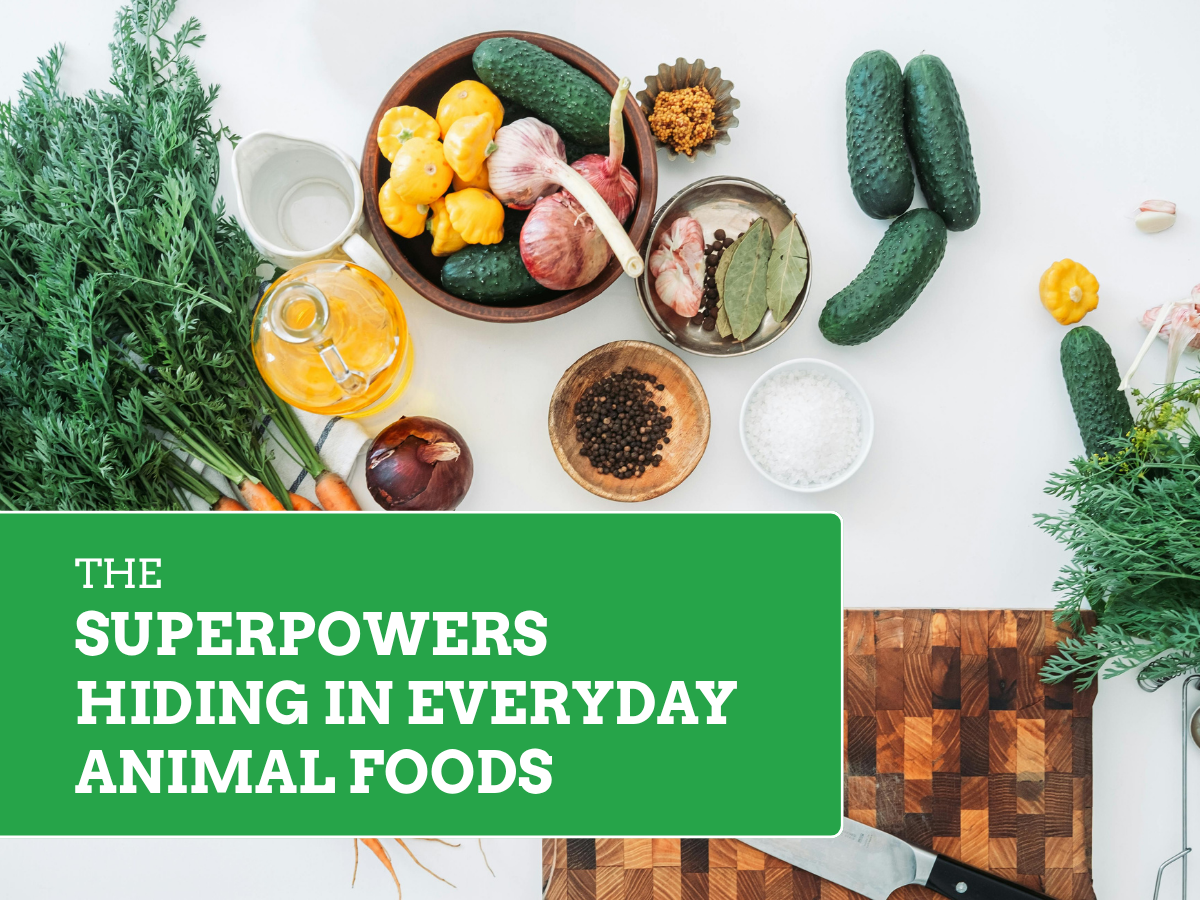 superpowers in everyday foods